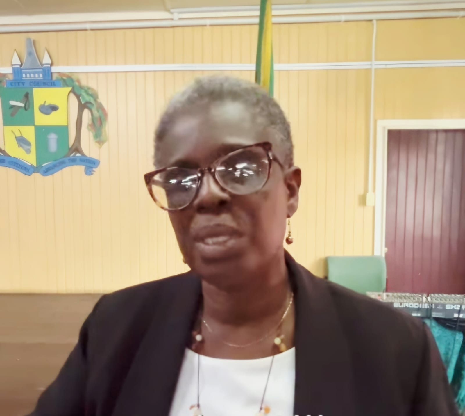 Deputy Mayor says residents can’t afford rates and taxes because of economic hardships