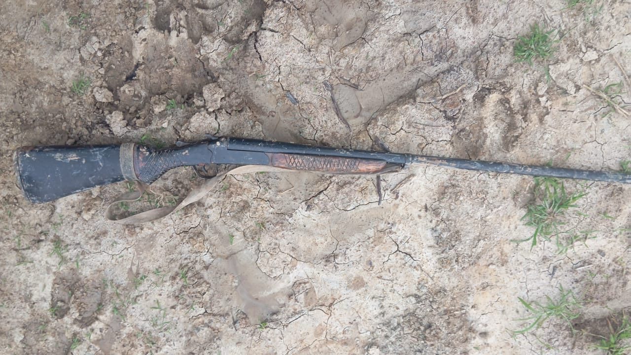 Labourer arrested for gun, ammo possession