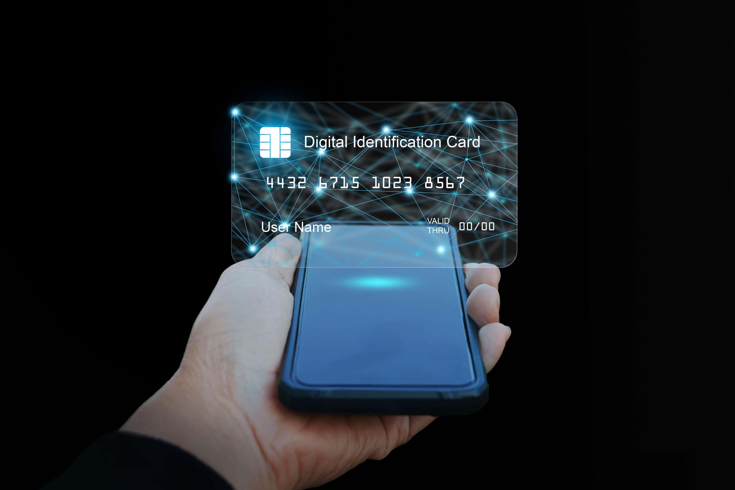 Data Protection Commissioner defends Digital ID rollout
