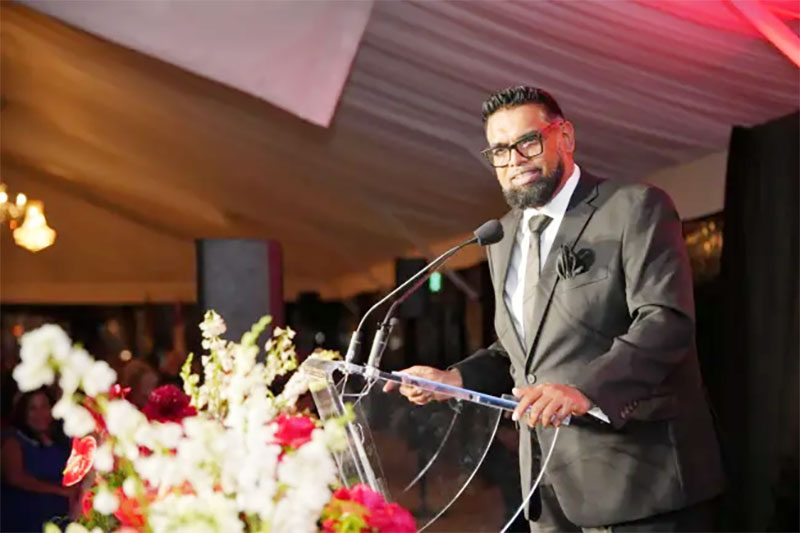 Guyana eyes overseas investment of oil savings – Ali