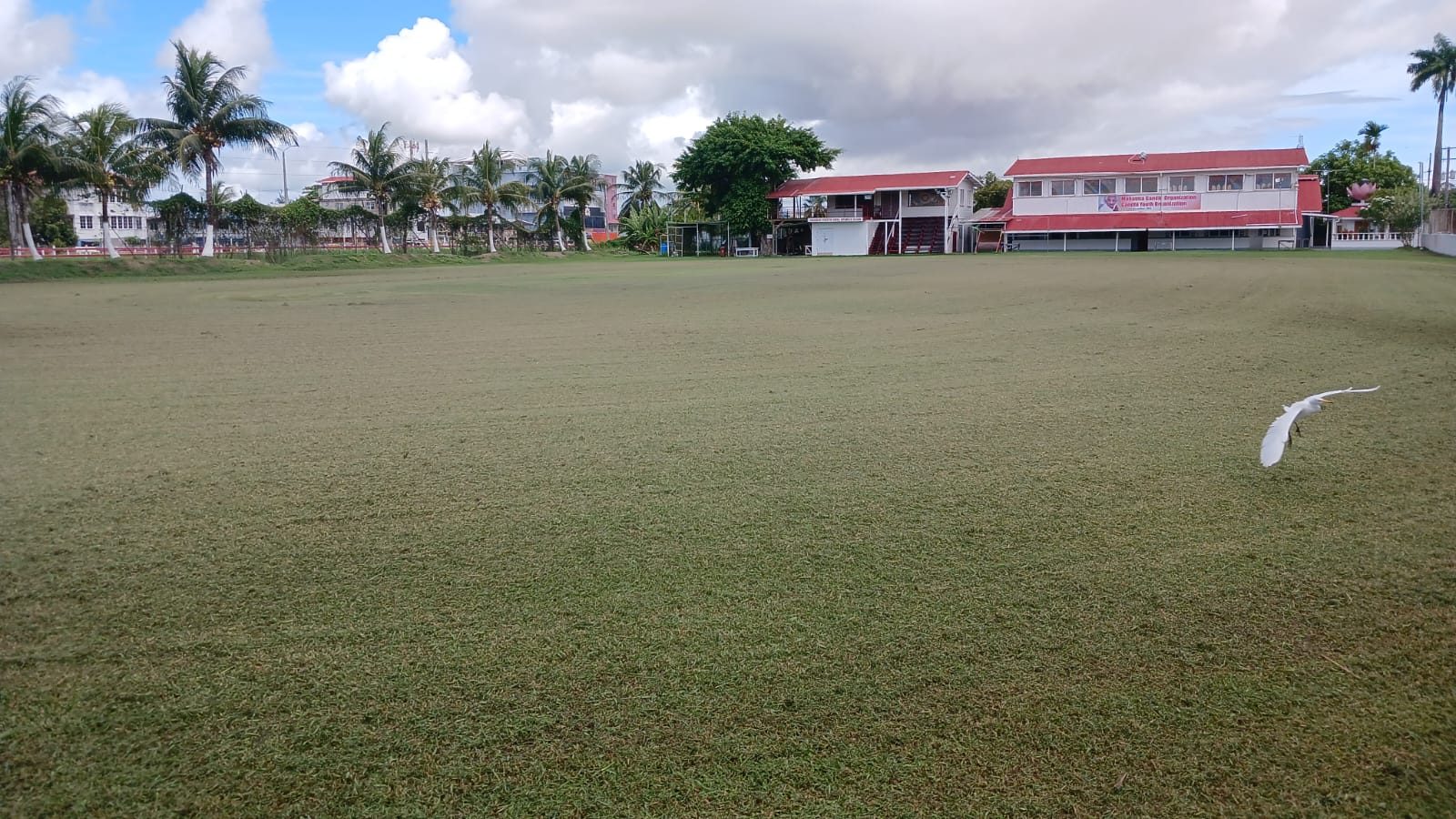 YMCA Ground returns to top condition despite heavy rains