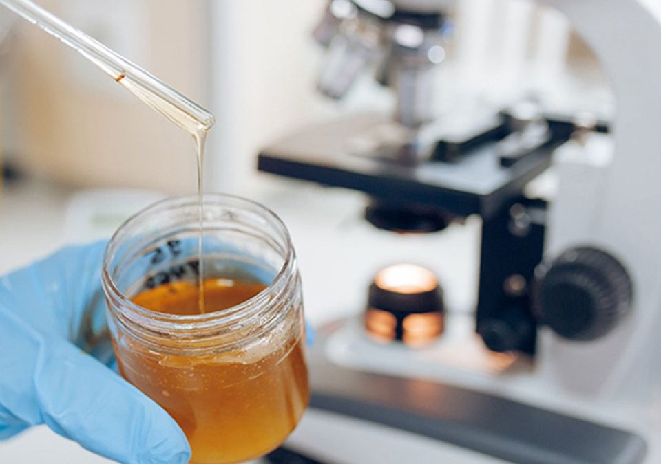 Govt. to spend $180M to construct Honey Laboratory at GLDA