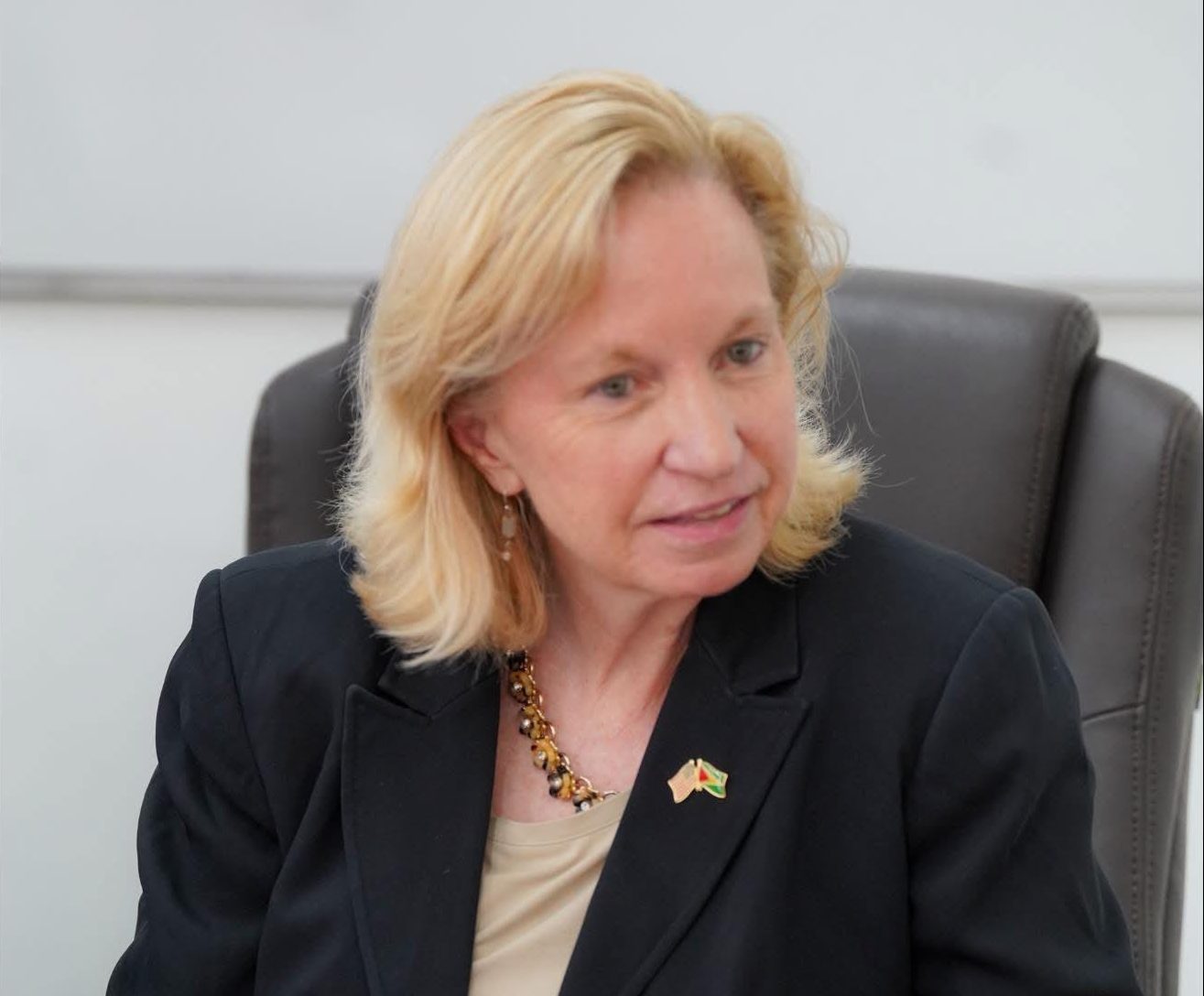 Former U.S. Ambassador Sarah-Ann Lynch leads major U.S. business delegation to Guyana