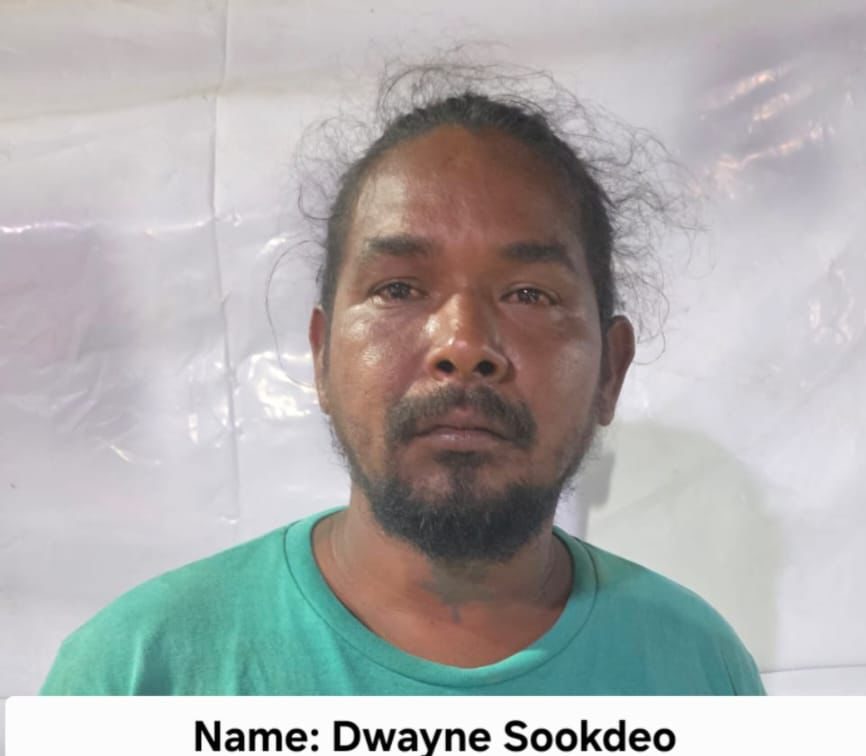 Boat captain charged with attempted arson, granted $100,000 bail