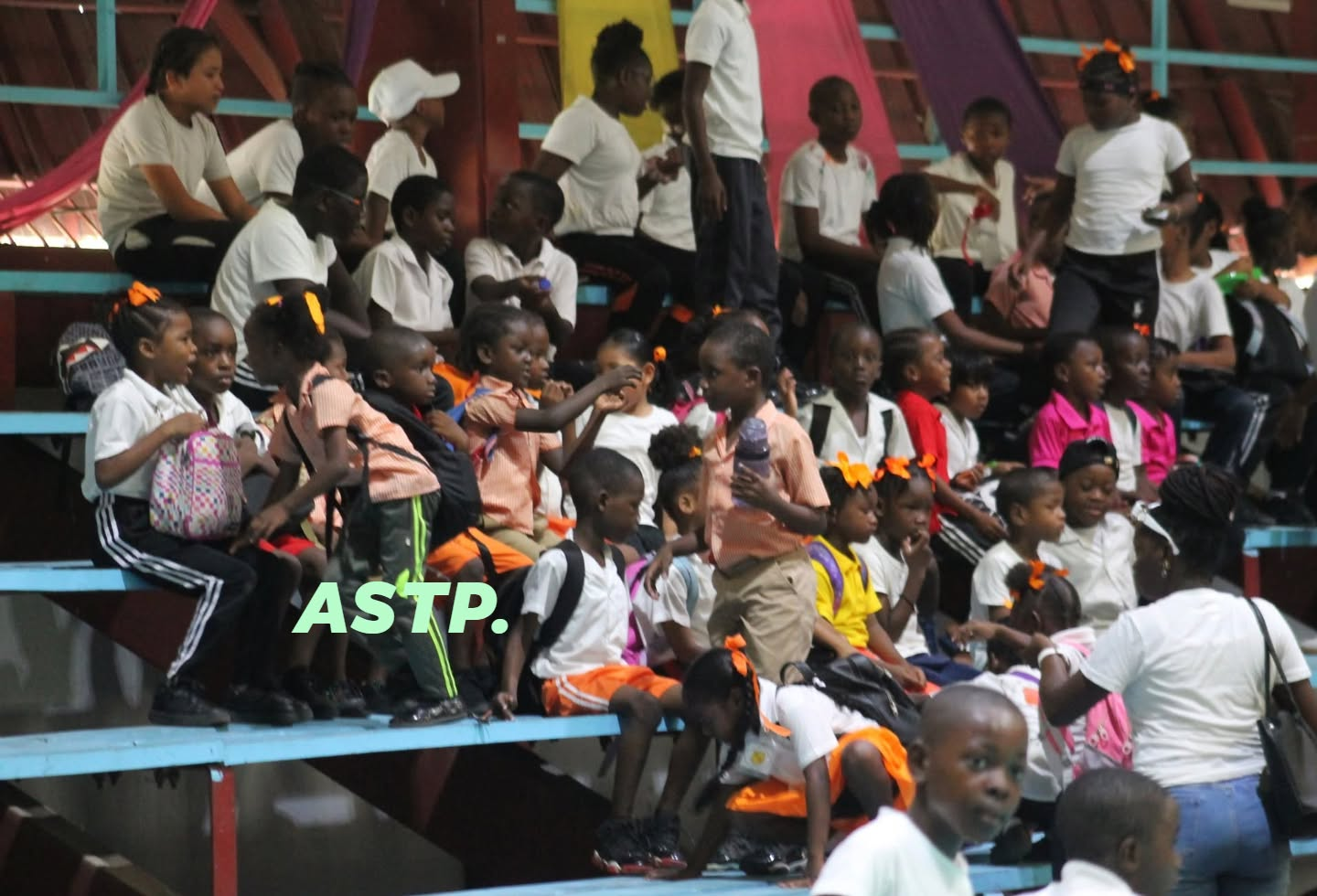 Return of Primary Schools Windball Cricket continues