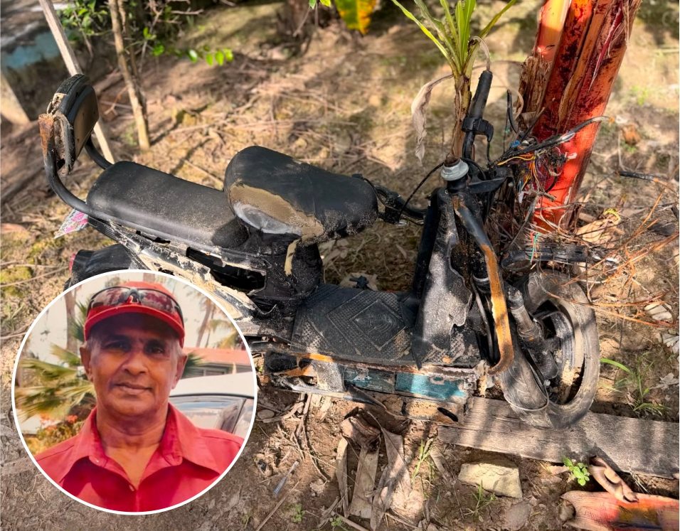 Pensioner killed in West Berbice accident