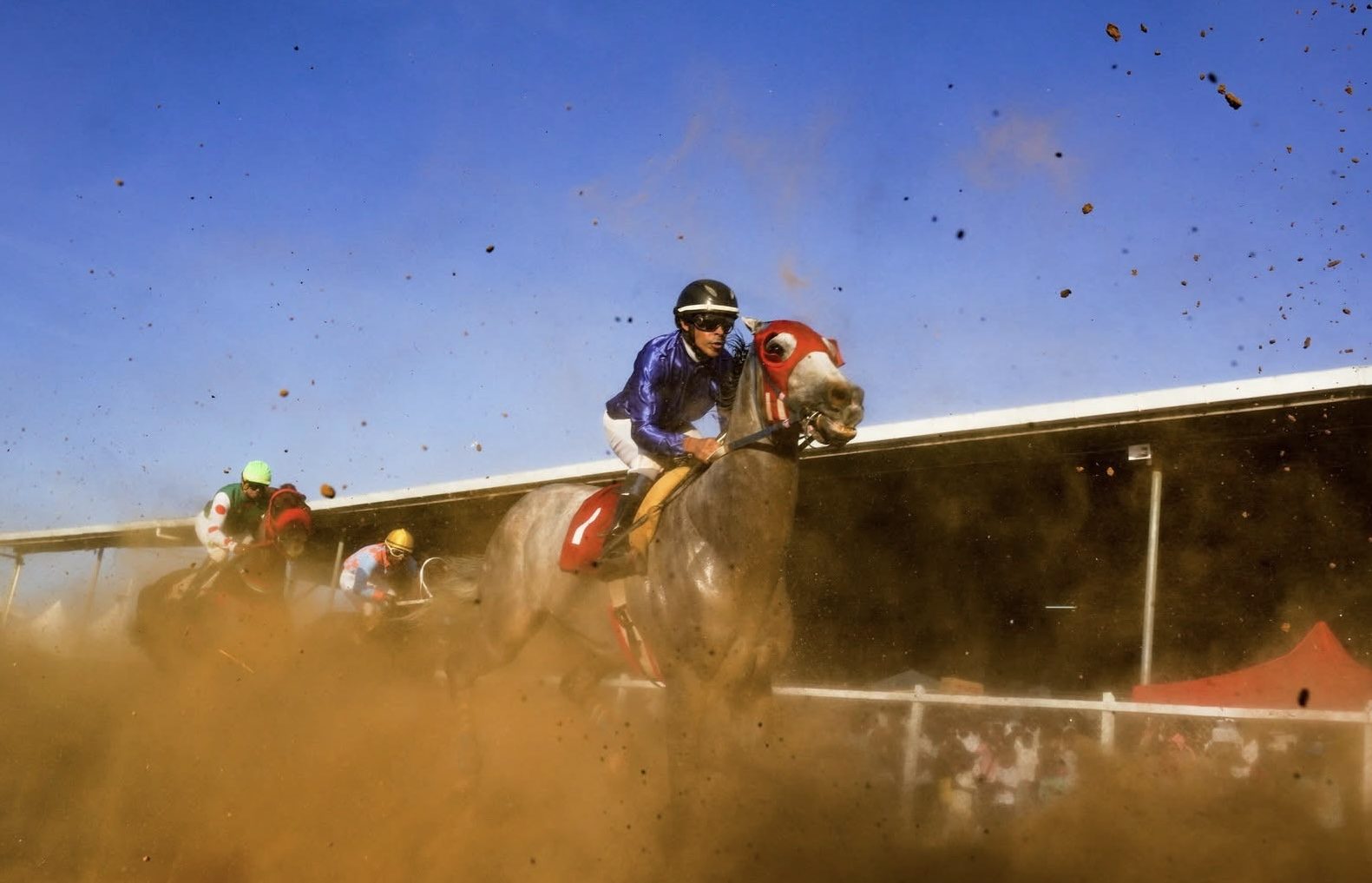 Dataman, Regal Man, Ritorna Vincentori nominated for horse of the year 2025