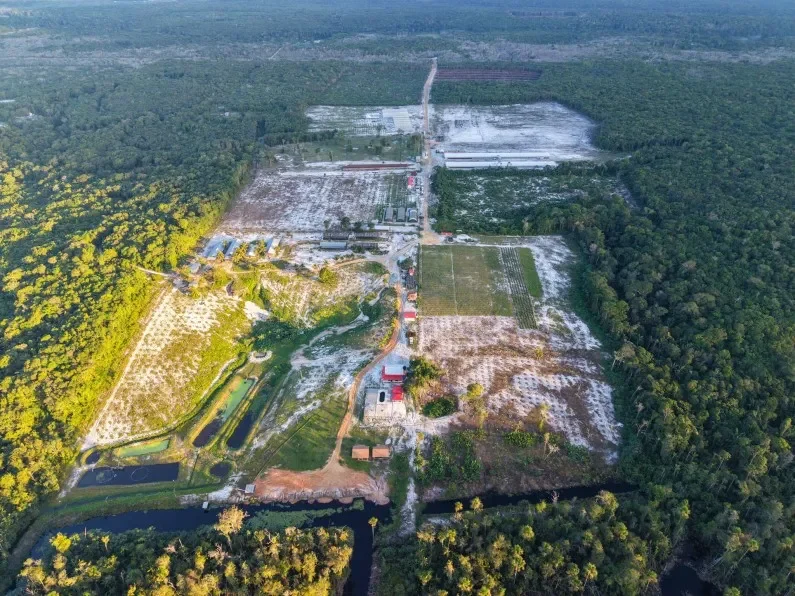 SARU probe had recommended charges against Ali, repossession of farm land – PNCR says