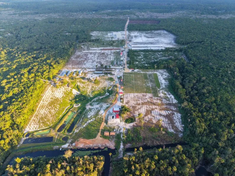 Pres. Ali mega farm exposes weak transparency laws