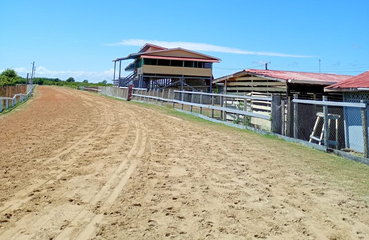 P and P Insurance Brokers onboard with Kennard Memorial Turf Club Emancipation meet on Sunday