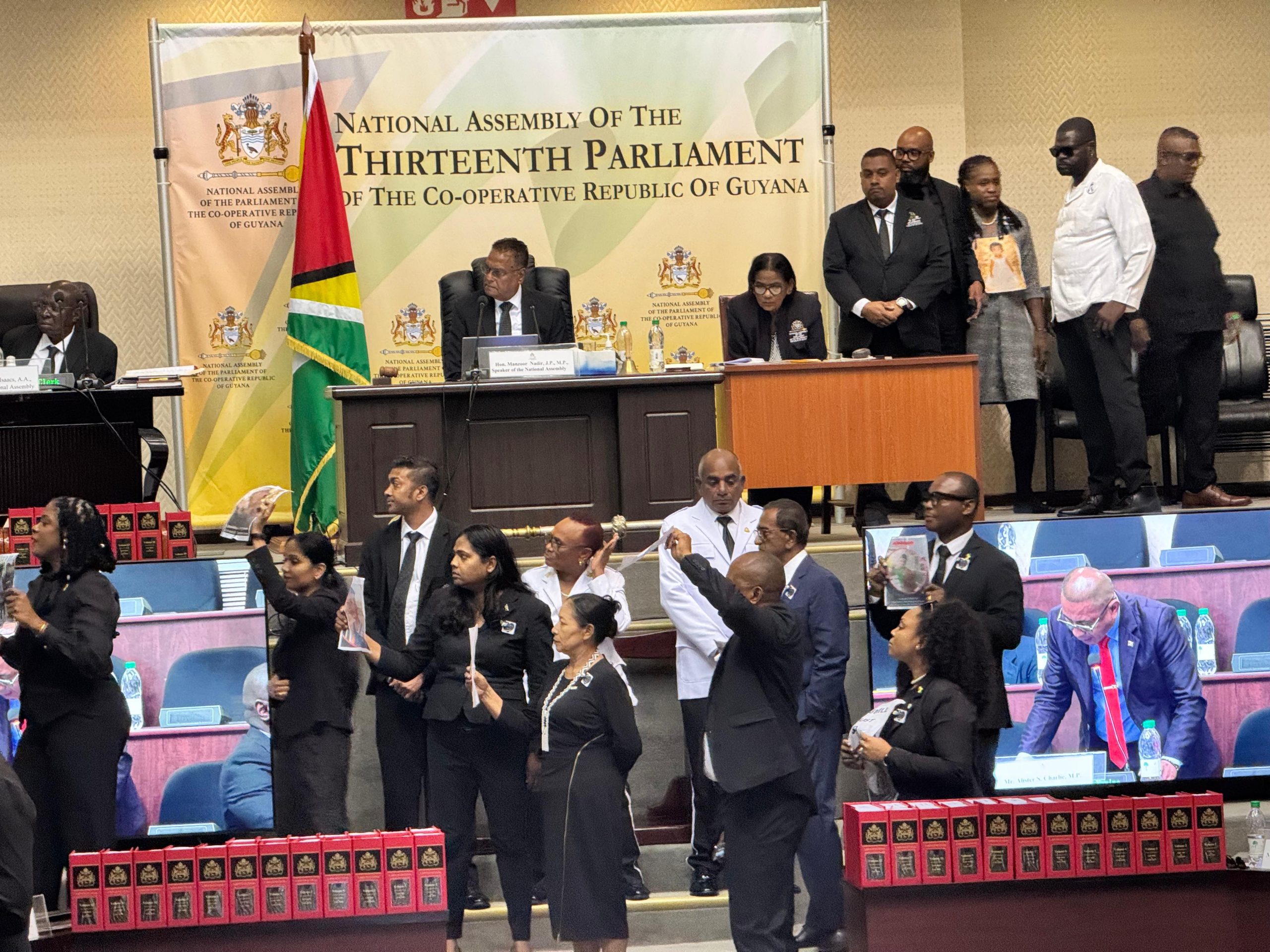 Development Bank Bill rushed through Parliament without debate