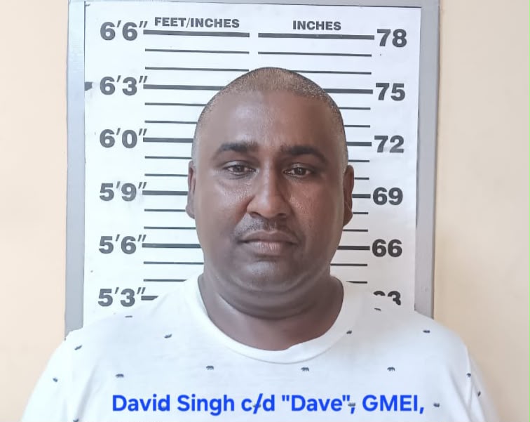 Man jailed 18 months in fake gun licence scam