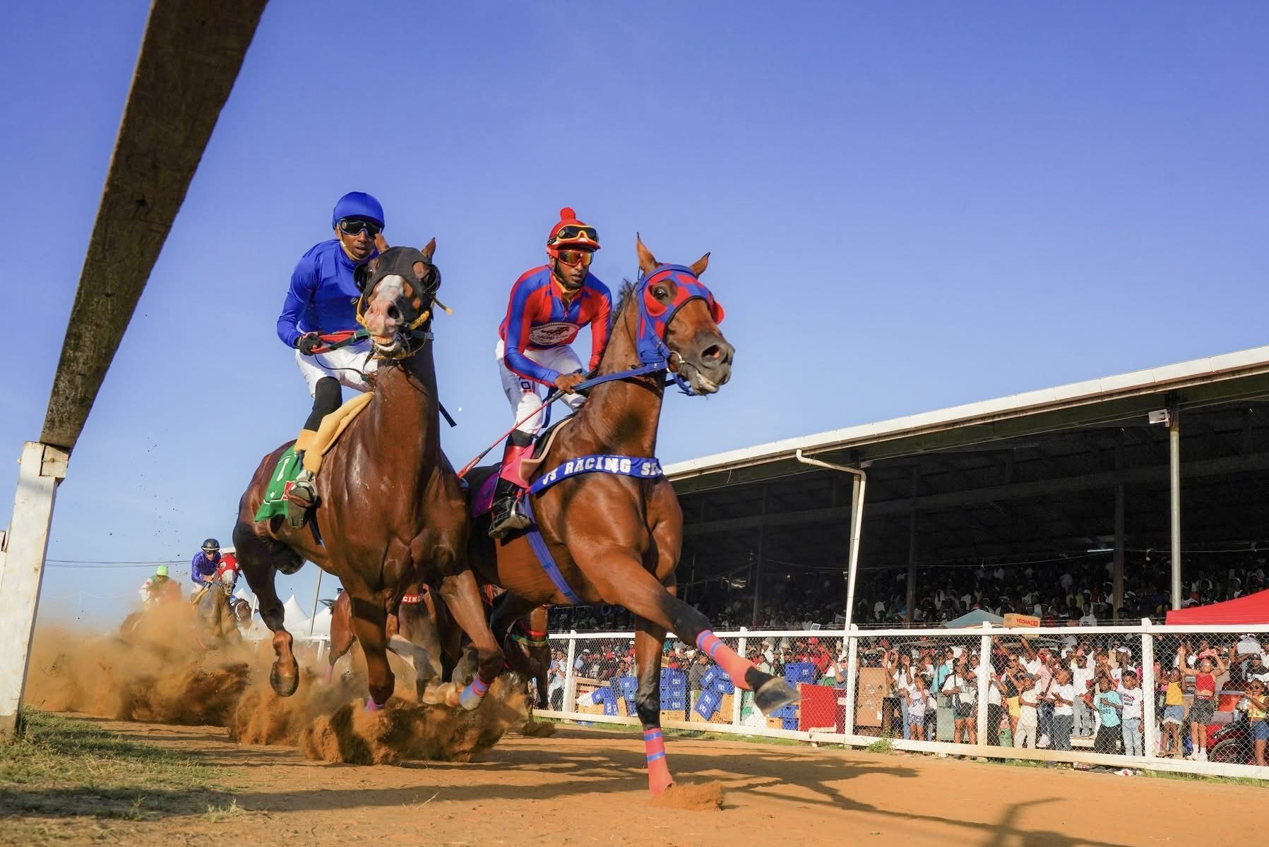 Master Z, Slingerz and Js racing stables in feature race at CARICOM Cup