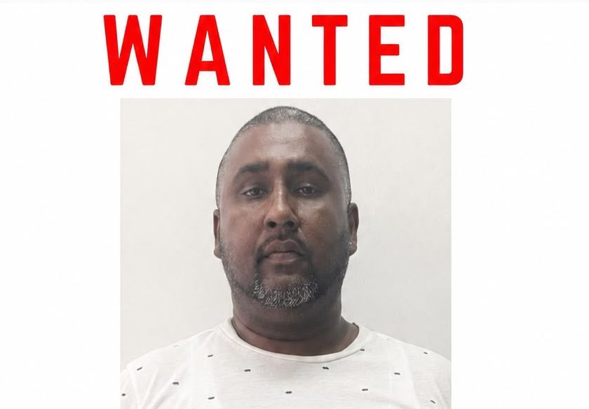 Police hunt two in $2.6M firearm license fraud