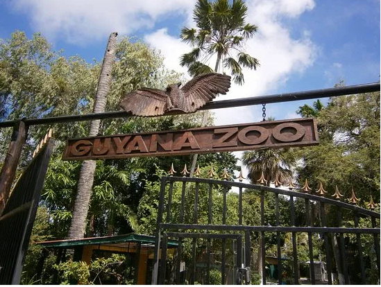 Protected Areas Commission announces the temporary closure of the Guyana Zoological Park