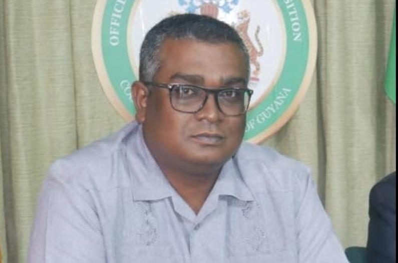 ‘By purchasing gen sets, government could have killed two birds with one stone’ — Mahipaul