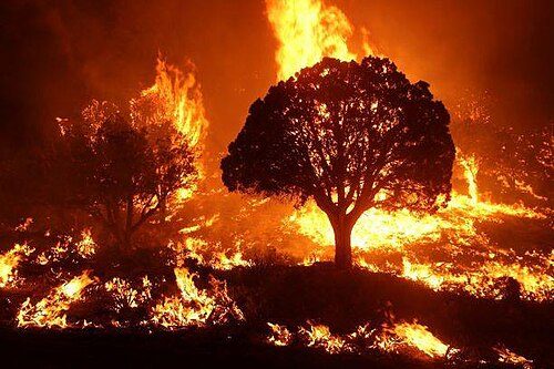 Fire Service warns against burning garbage