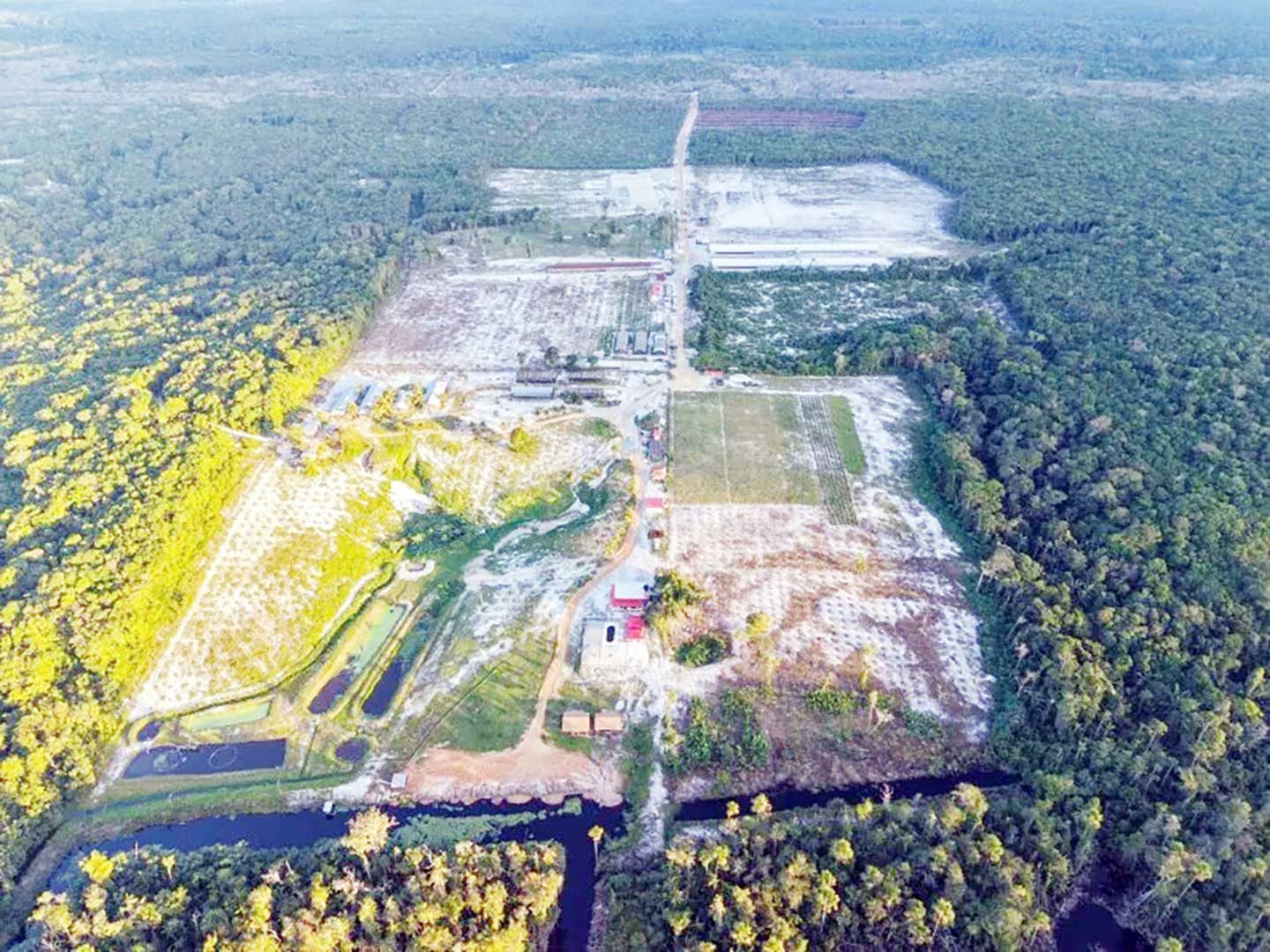 “I have nothing to hide on farm lands” – President Ali