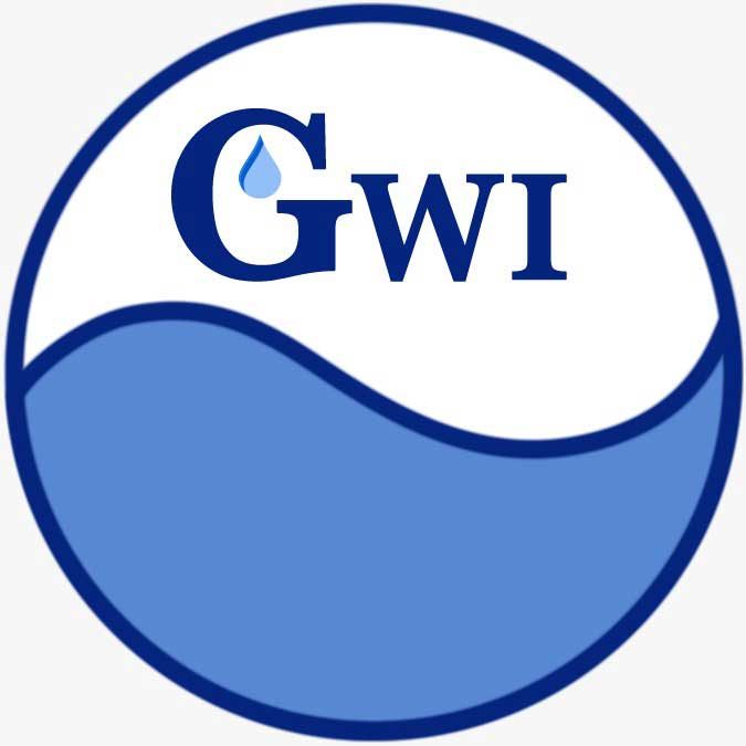 No corruption involved in the awarding of the contracts to company linked to President Ali brother – GWI