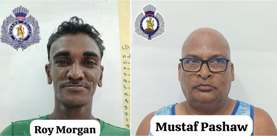 12 months jail for Demerara Bridge copper cable thief