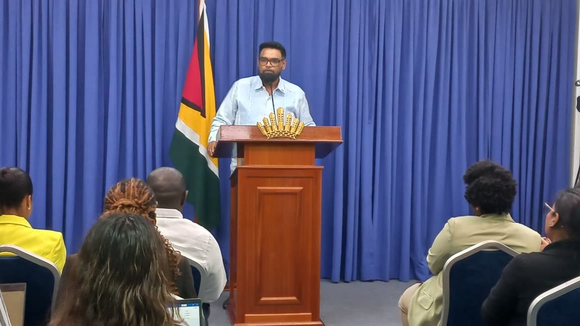 Pres. Ali touts 33.3% half-year growth