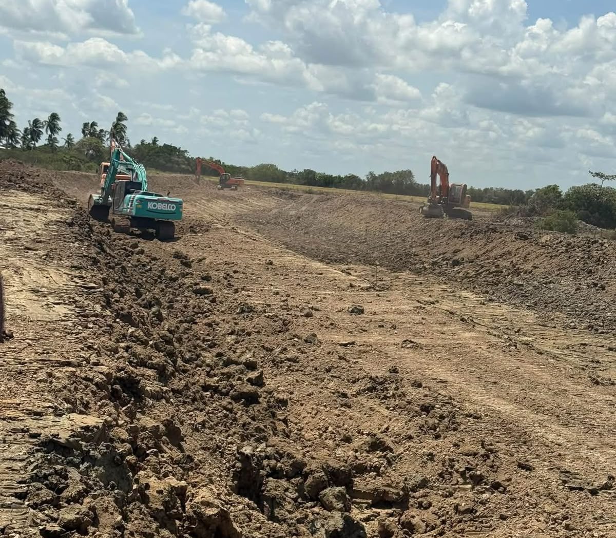 Abary farmers fear new Hope-like canal could cripple farming