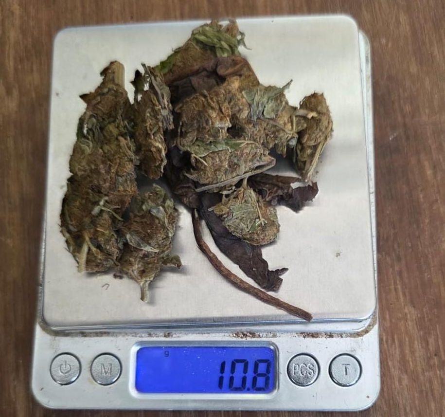 Man held for ganja in ziplock bag