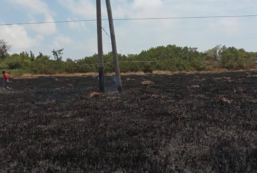 GPL blames grass fire for blackout in parts of Corentyne