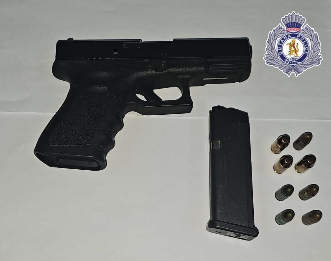 Gun, ammo found hidden in New Amsterdam home