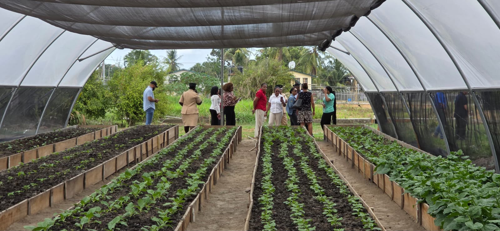 $7M shade tunnel to help women at Timehri Prison grow crops, build skills